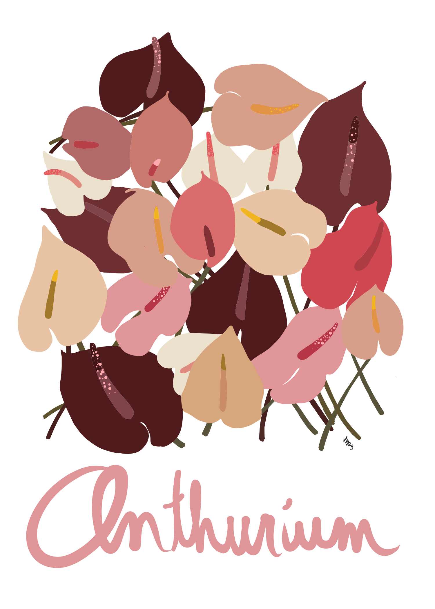 “Anthurium” Greeting Card - Margaret Rice Studio